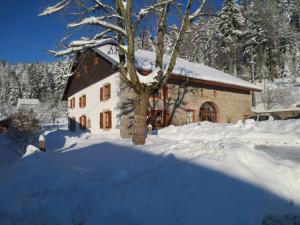 Appartements Gite du Champ du Bois : Confort au coeur des Vosges - FR-1-589-820 : photos des chambres