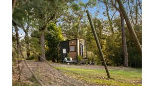 Orange 2 by Tiny Away