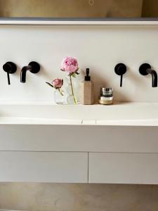 Designer Georgian Apartment in Edinburgh New Town