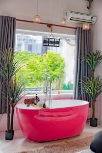 Saigon Hideout New World View