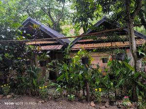 Hill Tribe Art House (Lahu & Akha Homestay)