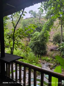 Hill Tribe Art House (Lahu & Akha Homestay)