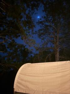 Safari Glamping By Ohana Green Home