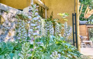 Maisons de vacances Cozy Home In Les Eyzies : photos des chambres