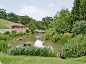 Cherrytree Cottage - 29937