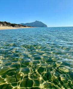 APPARTAMENTO in seminterrato PALMAROLA