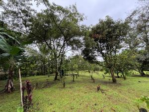 Rancho and Modern Rustic House with a Valley View