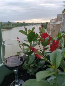 Hotels COTE GARONNE le BALCON DES DAMES -hotel et restaurant- Tonneins Fauillet Marmande - vue panoramique bord de Garonne chambres climatisees : photos des chambres