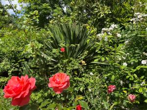 B&B / Chambres d'hotes Balicheri : photos des chambres