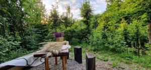 Beauty Wood House in The Forest