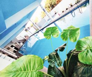 3B Modern Cozy Hotspring Resort