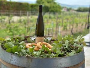 COLMARandCo au coeur des vignes