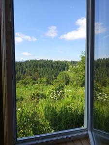 Котеджі Зоряне Небо