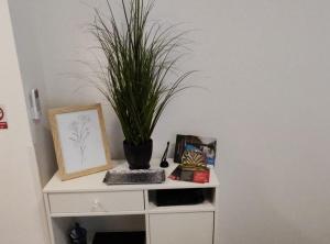 Studio Apartment Enter