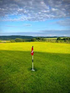 Business Apartment inkl Frühstück