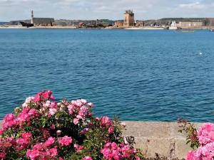 Maisons de vacances Ty laouen : photos des chambres