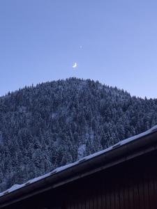 Chalets Chalet Saint De l-Elephant : photos des chambres