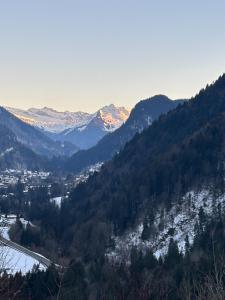 Chalets Chalet Saint De l-Elephant : photos des chambres