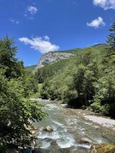Chalets Chalet Saint De l-Elephant : photos des chambres