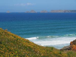 Maisons de vacances Ty laouen : photos des chambres