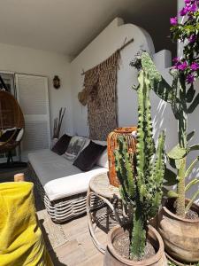 Bohemian Chic appartement famille plage et 5 piscines