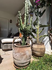 Bohemian Chic appartement famille plage et 5 piscines