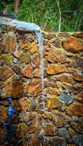 Nature World Safari Resort