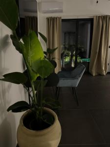 Chambre Lit King-Size - Vue sur Jardin