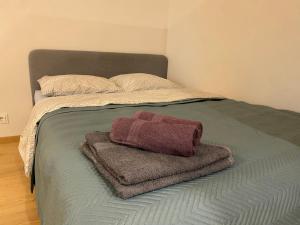 Central Park Apartment 1km to Old Town