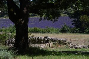 La Roulotte Authentique