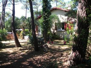 House 200 m from beach and forest path