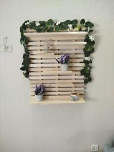 Lianas Stylish House