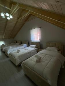 Ardiani Guesthouse