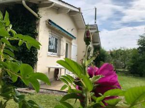 Maisons de vacances Zigzag house sleeps 4 : photos des chambres