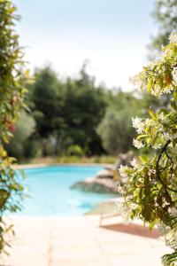 Maisons de vacances Maison VALFLO : photos des chambres