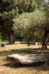 Maisons de vacances Maison VALFLO : photos des chambres