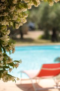 Maisons de vacances Maison VALFLO : photos des chambres