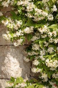 Maisons de vacances Maison VALFLO : Maison 4 Chambres