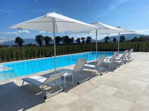 Tenuta Tre Gemme in Cantina- Renascenzia SantIrene