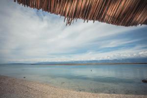Apartments by the sea Vir - 24564