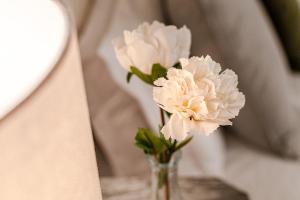 Nuovo con vista in pieno centro Storico