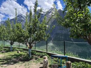 Valley View Homestay Lahaul