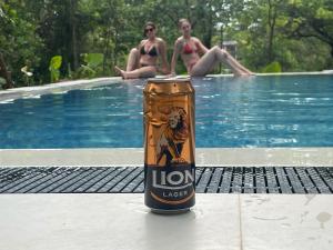 Ali Adi Eco Tree House