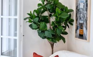 FRGK "Charm in Old Antibes"