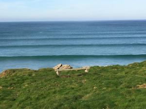 Glendorgal Sands - The best sea views in Cornwall
