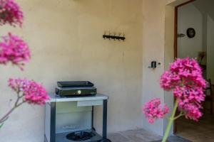 Maisons de vacances Gite Logement 4/6 personnes - Village de gites des Vignes : photos des chambres