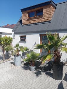 Bungalowy BOJA