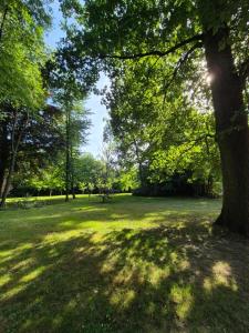 Domitys - Le Carillon dor