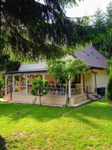 Casa Aris Lepsa Vrancea