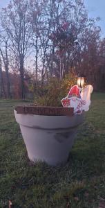 Maisons de vacances Gite Spa & Nature : photos des chambres